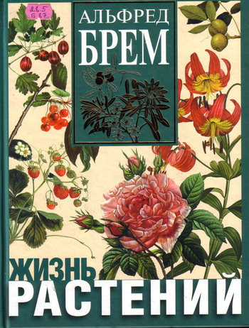 Жизнь растений