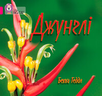 Джунглі
