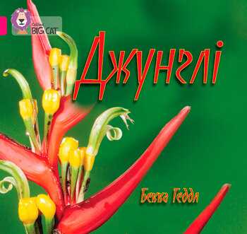 Джунглі