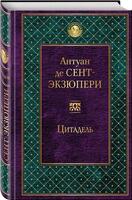 Книжный вор