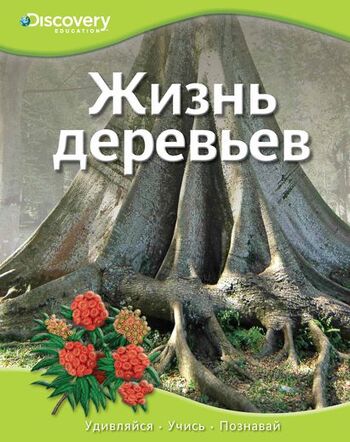 Жизнь деревьев