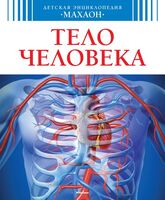 Тело человека