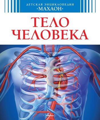 Тело человека