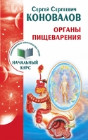 Органы пищеварения. Информационно-Энергетическое Учение. Начальный курс