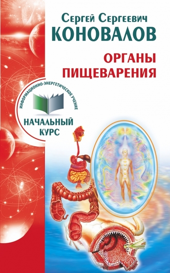 Органы пищеварения. Информационно-Энергетическое Учение. Начальный курс