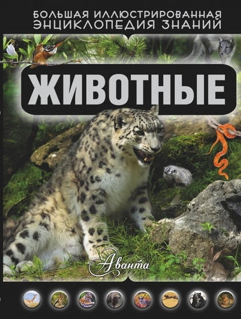 Животные