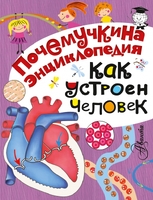 Как устроен человек?