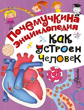 Как устроен человек?
