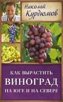 Как вырастить виноград на Юге и на Севере