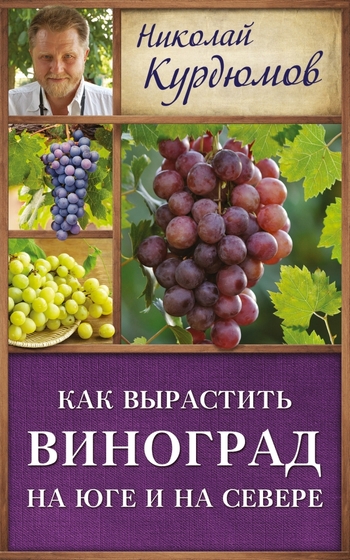 Как вырастить виноград на Юге и на Севере