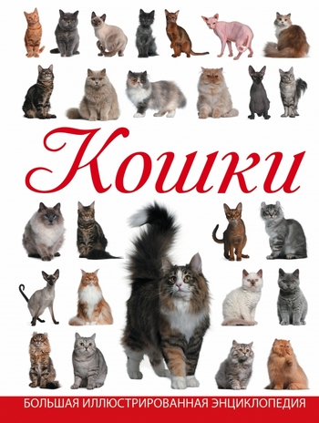 Кошки