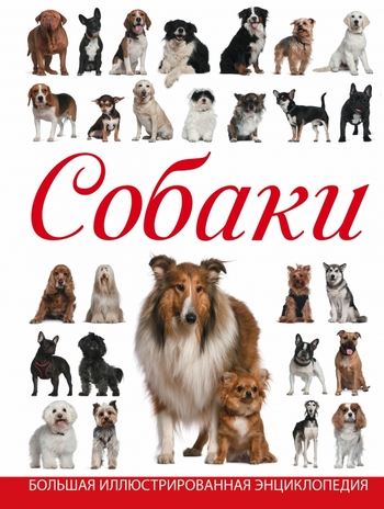 Собаки