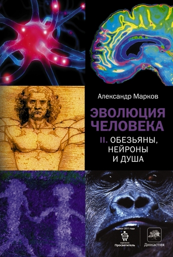 Эволюция человека. В 2 книгах. Книга 2. Обезьяны, нейроны и душа