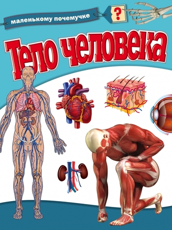 Тело человека