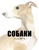 Собаки в мистецтві Собаки в мистецтві