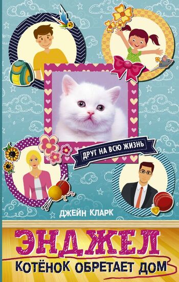 Энджел. Котенок обретает дом