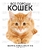 Все породы кошек Все породы кошек
