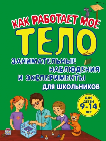 Как работает мое тело