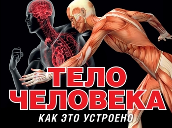 Тело человека