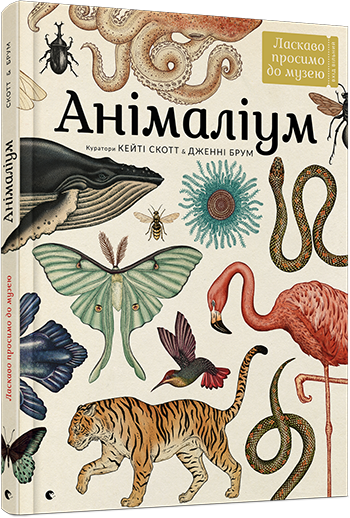 Анімаліум