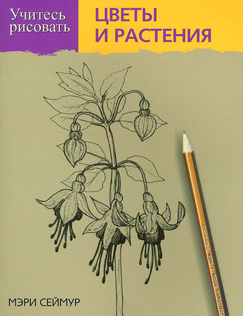 Учитесь рисовать цветы и растения